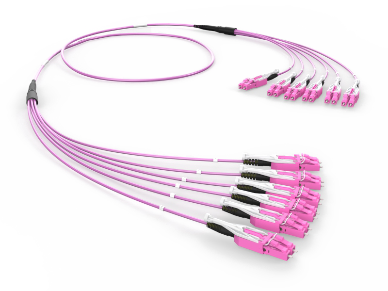 Оптическая разветвительная сборка 12 x 50/125 OM4+, LCHD/LCHD Uniboot