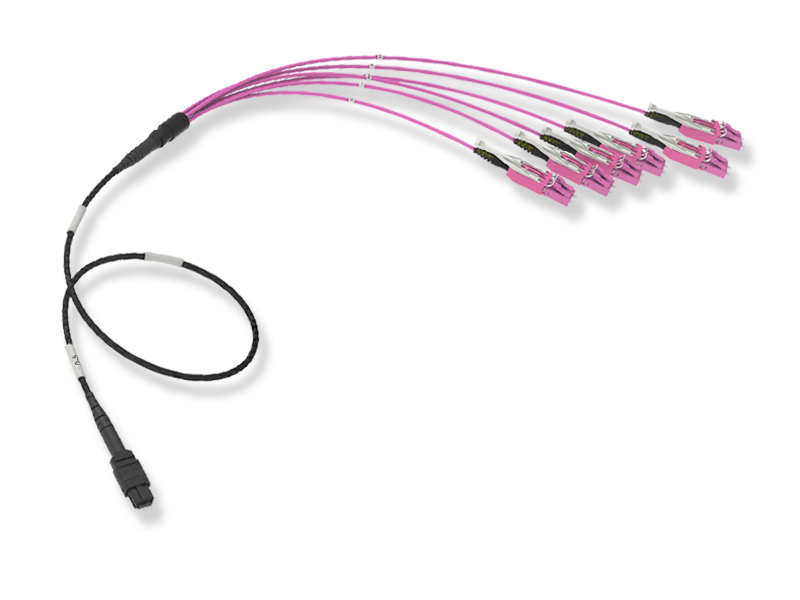 12 x 50/125 OM4, MTP(12)m/LCHD