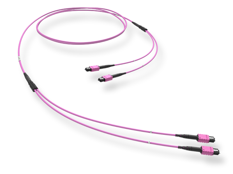 OM4, MTP PRO(12)m/MTP PRO(12)m