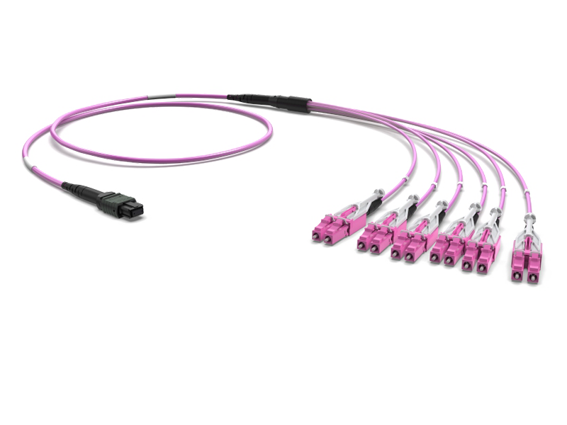 FO Cable Assembly 12 x 50/125 OM4, MTPf/LCHD Uniboot