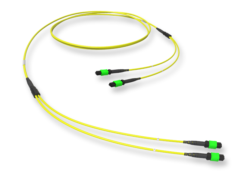 Оптическая соединительная сборка 24 x 09/125 OS2, MTP(12)f/MTP(12)f