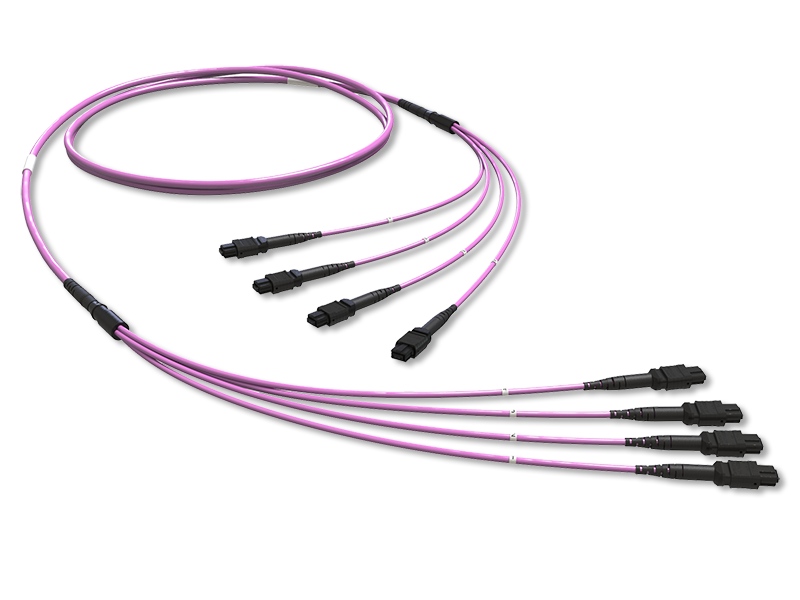 48 x 50/125 OM4+, MTP(12)f/MTP(12)f