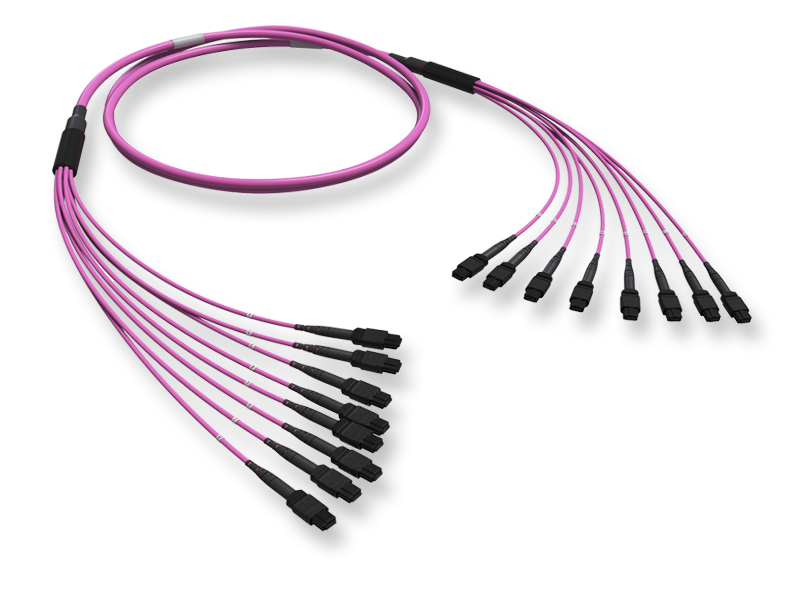  8xMTP(12)m/8xMTP(12)m 96F x 50/125 OM4