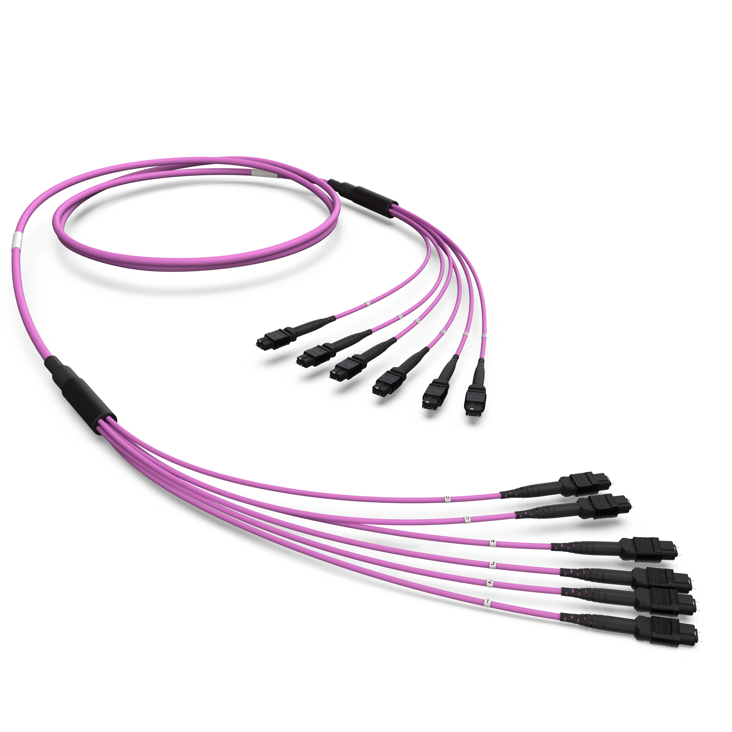 Оптическая магистральная сборка MTP(12)/MTP(12), 72ОВ MM50/125 OM4