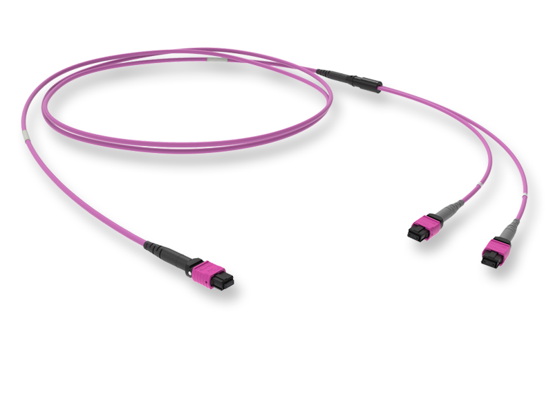 Оптический патчкорд 16 x 50/125 OM4, MTP(16)f PC/MTP(8)f