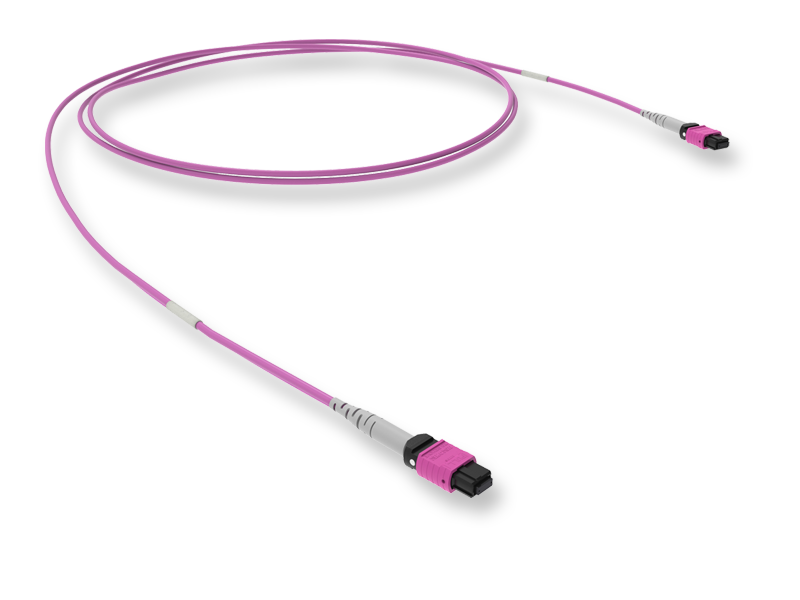 Оптический патчкорд 16 x 50/125 OM4, MTP(16)f 8º APC/MTP(16)f 8º APC