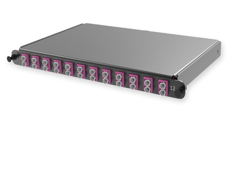 С2 - 24 x 50/125 OM4, MTP(12)m/LC Duplex