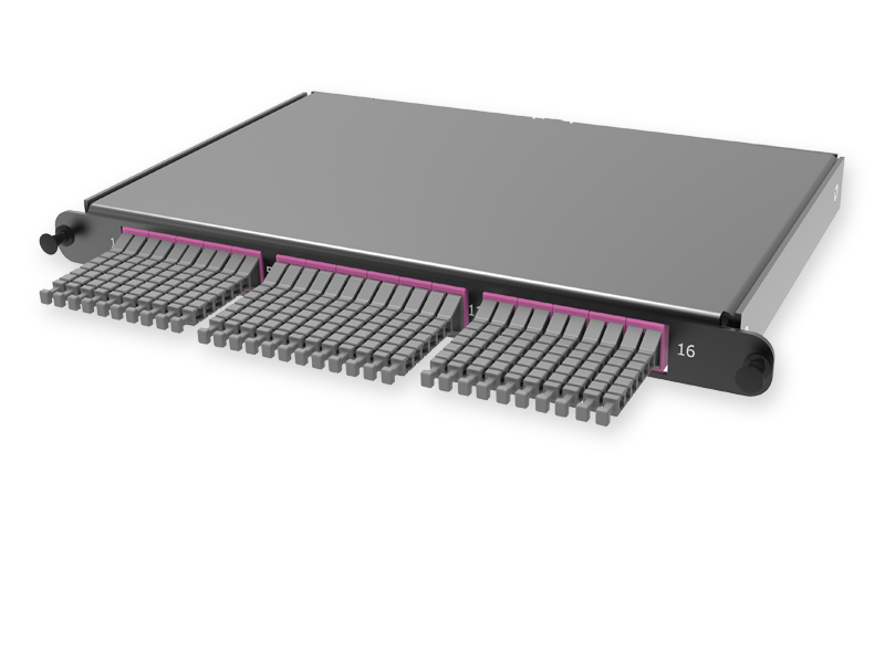 C2 - 64 x 50/125 OM4, MTP(16)f 8º APC/MDC