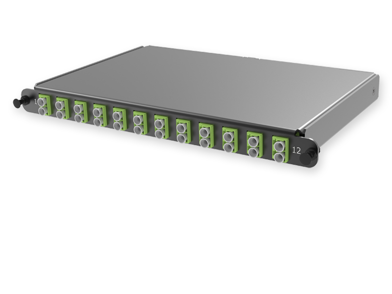 С2 - 24 x 50/125 OM5, MTP(12)f/LC Duplex