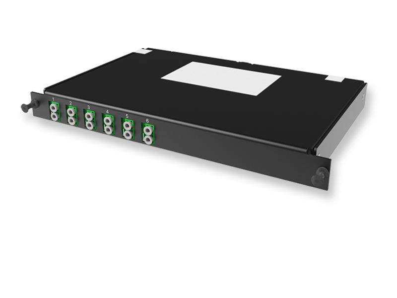 C2 - 12 x 50/125 OM5